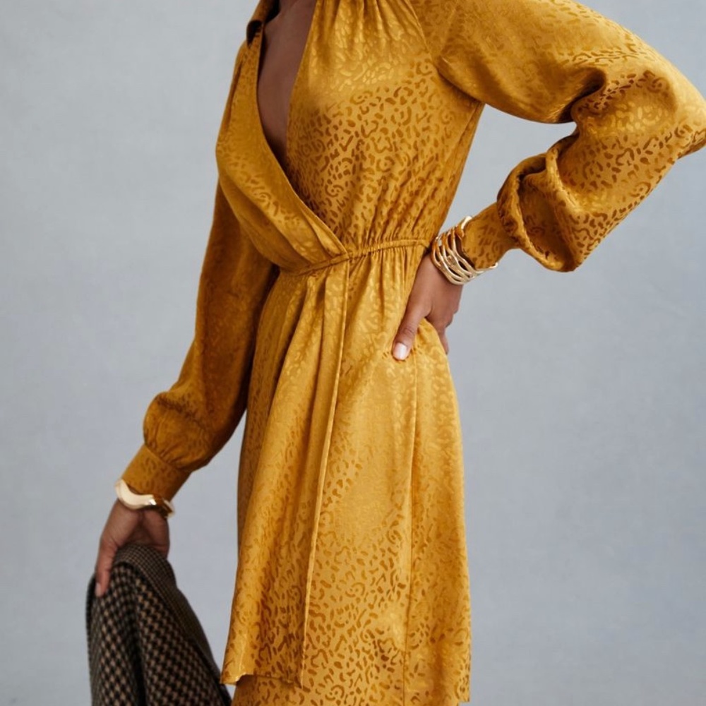 NWT Anthropologie dress